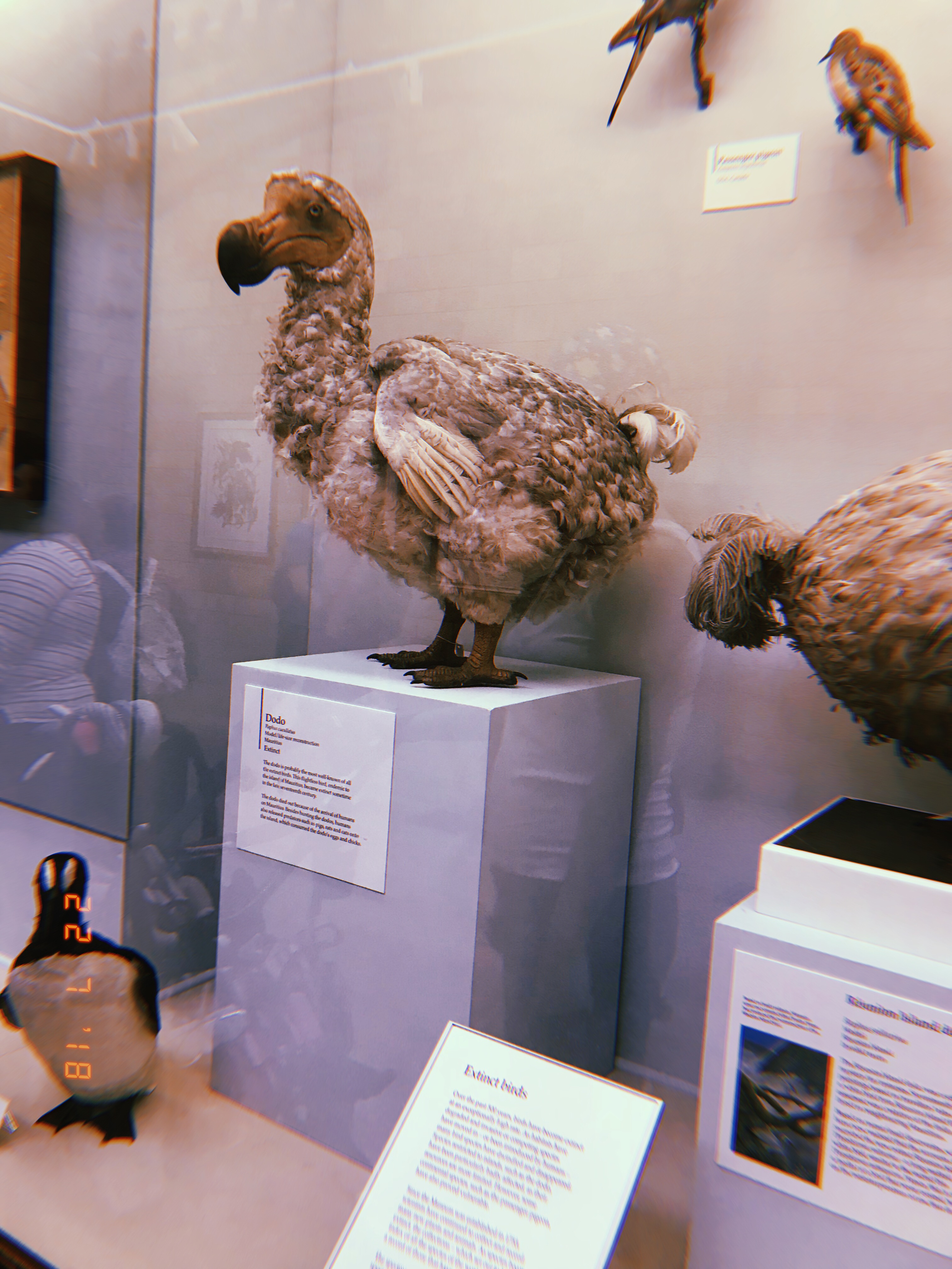 1BAFC8E3-7902-4F9B-AFFF-8D6EFB245FF0