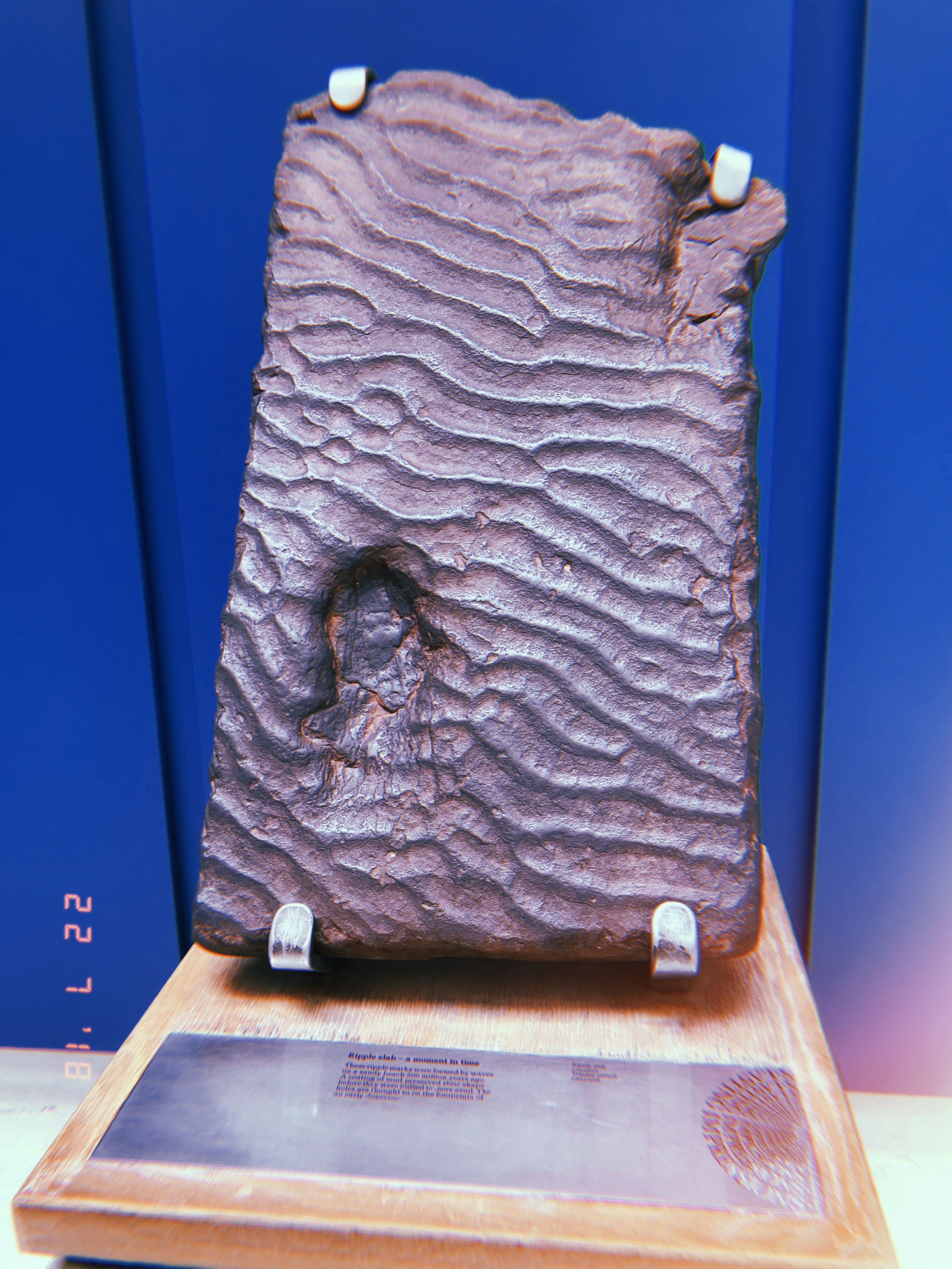 419E9802-25E8-4049-8979-95F1C0F5EFEA