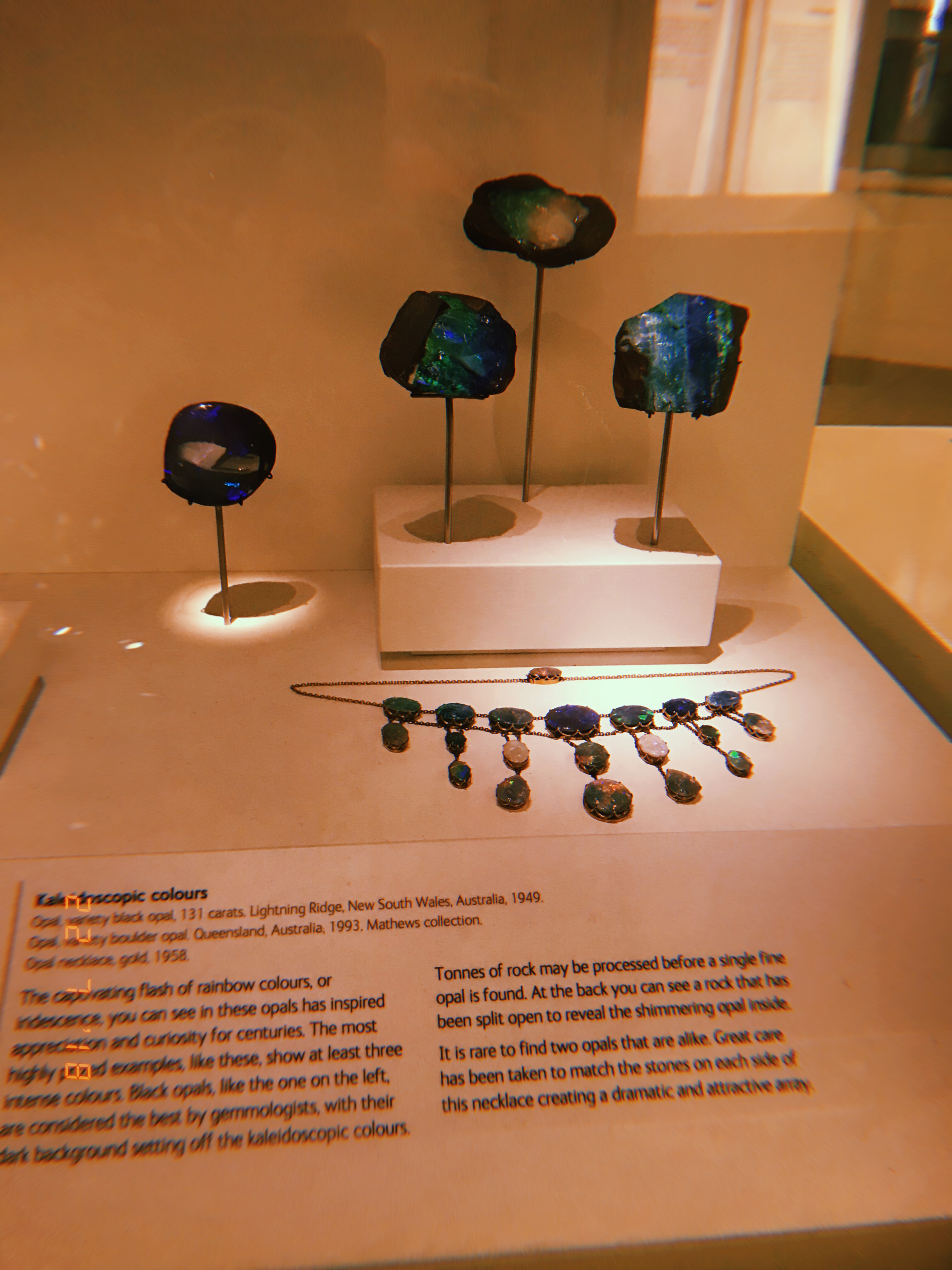 6119F680-AEA5-4655-B72F-1FE2D943446B