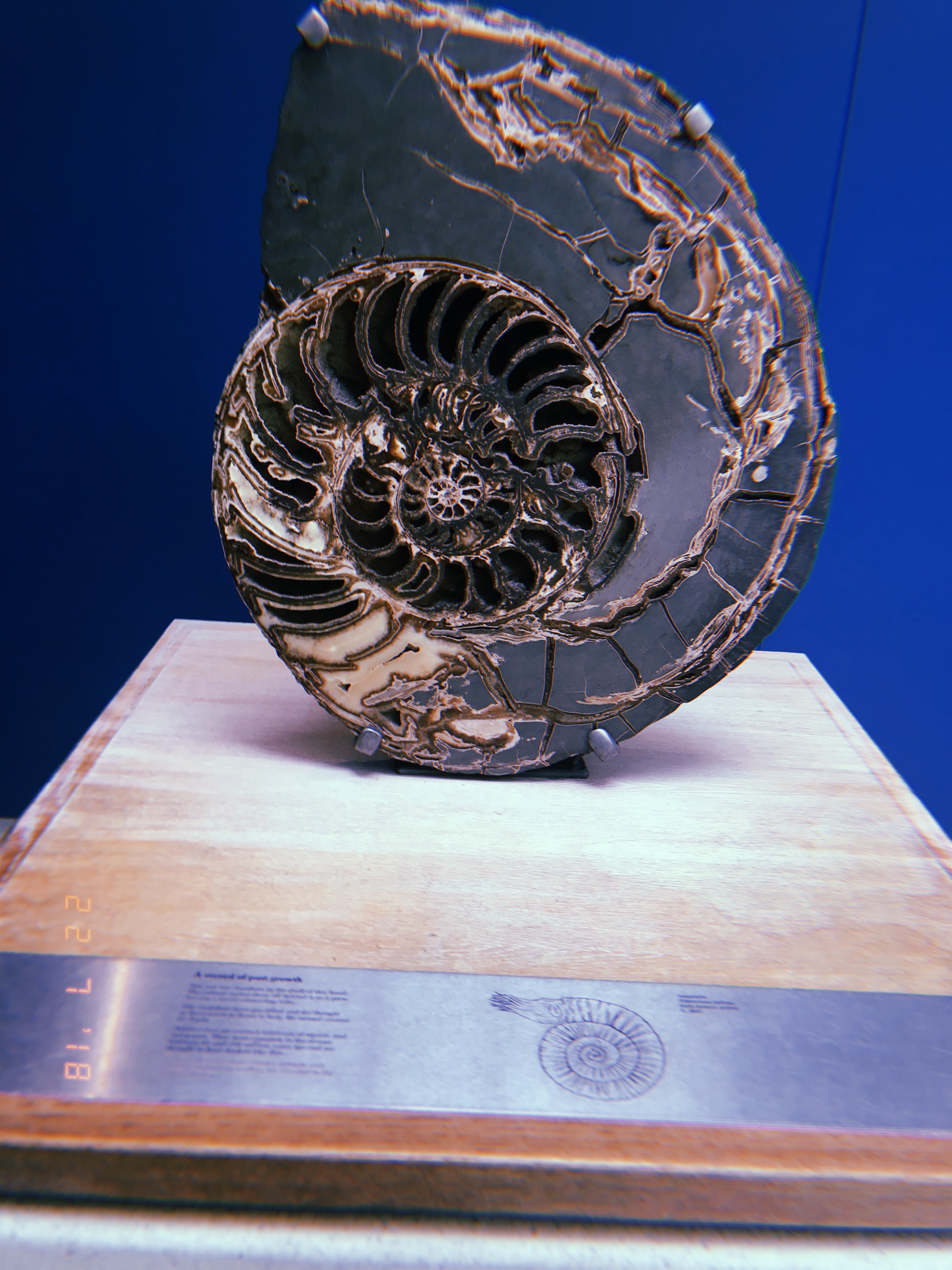 8212028F-8F4E-430A-89AB-6798D2B020F1