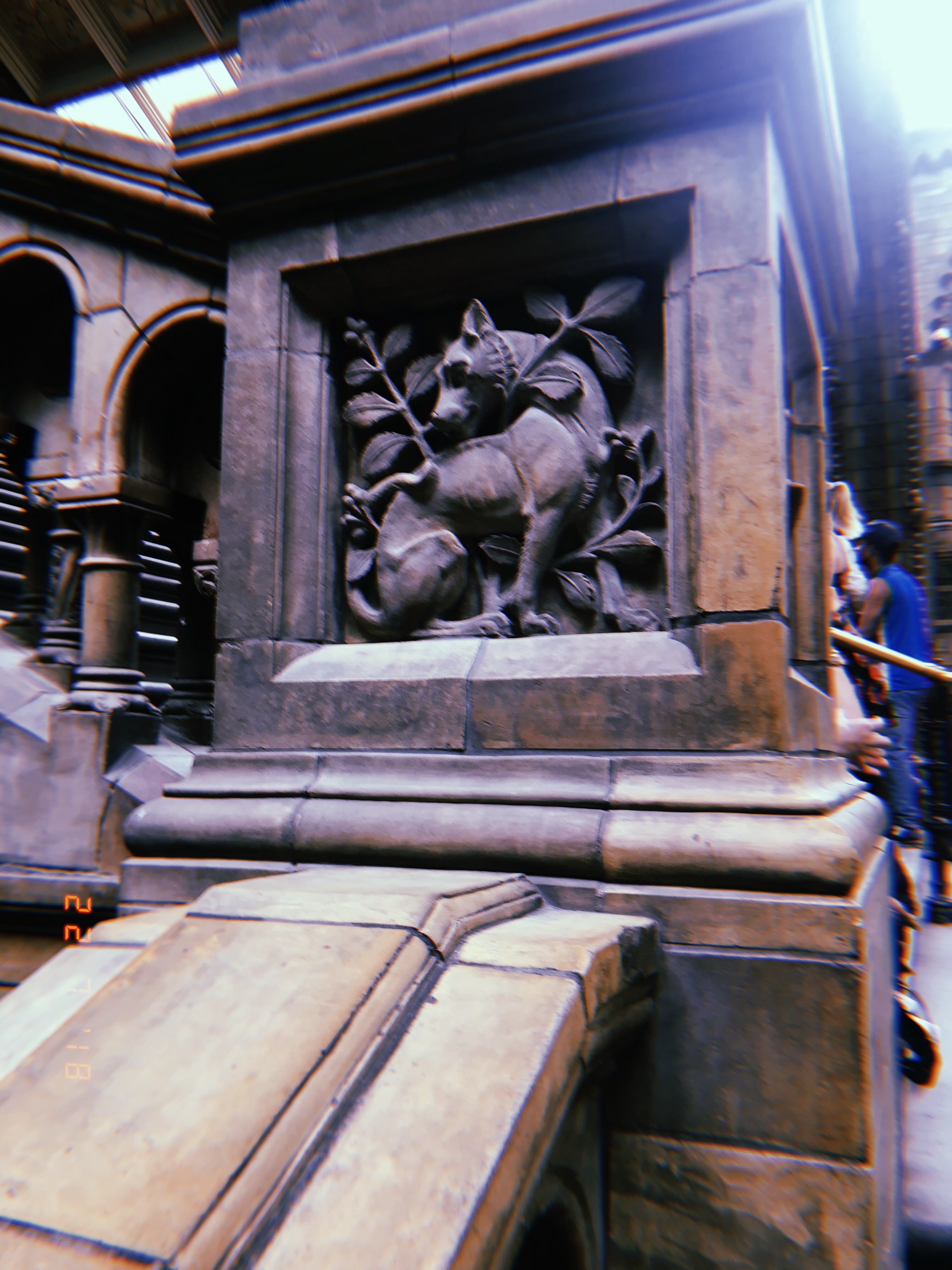 84D36ADF-263F-4D8F-8EA8-B3BA36168C10