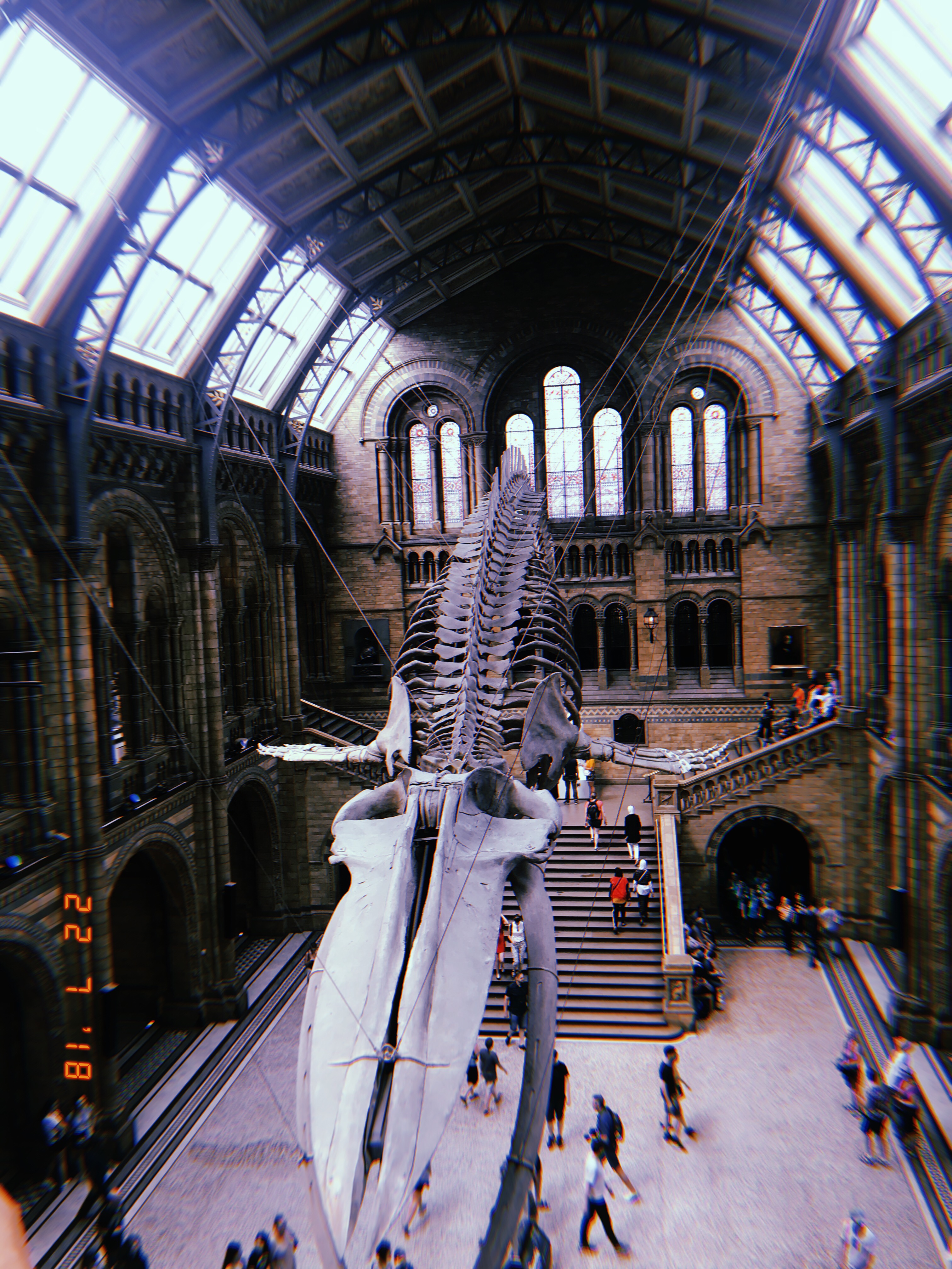 9BC9E470-BCA6-4039-ADBD-F3D08C253F99