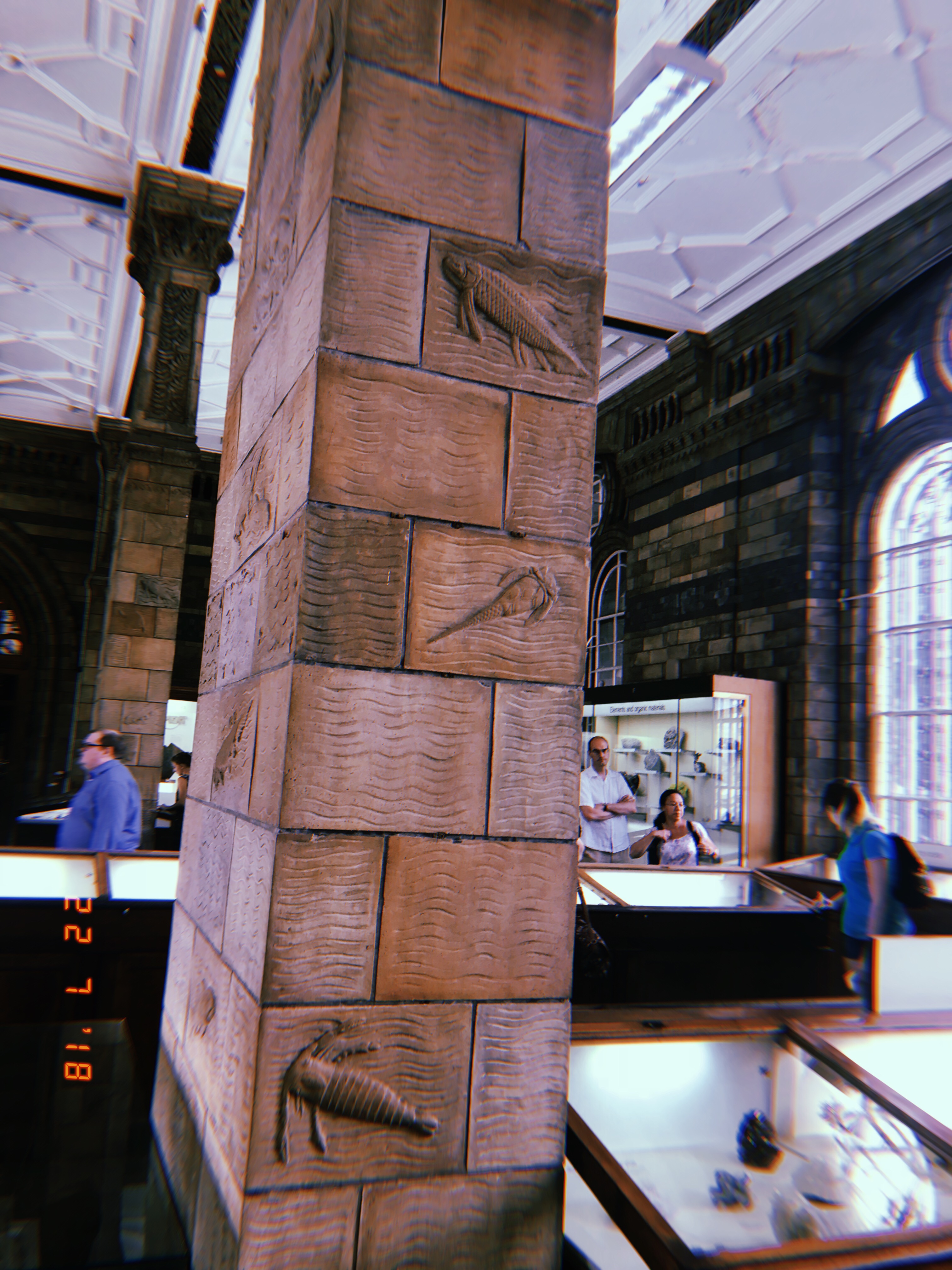 D77EA46D-9D7E-4339-A3E5-4953715DE6EA